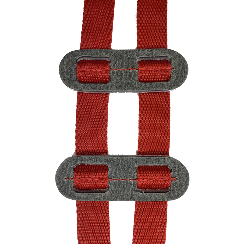 Ewe Prolapse Harness for Sheep - Made in UK - Rot-Resistant